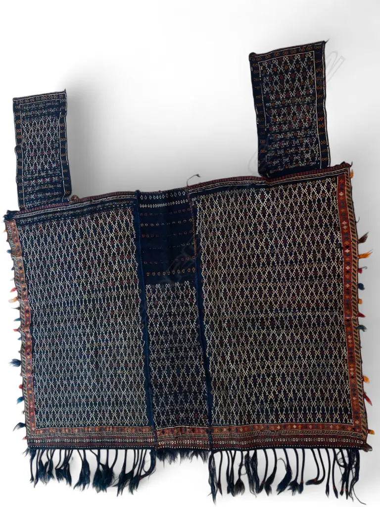 An Iranian horse cover, Image 1++